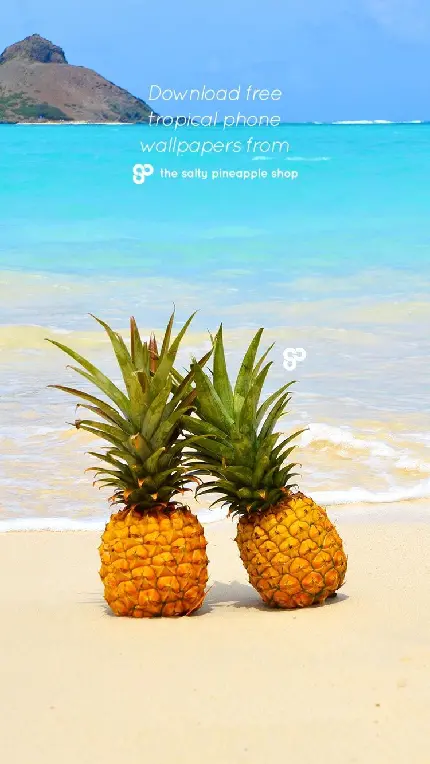 والپیپر جذاب و متفاوت آناناس های واقعی کنار ساحل آبی دریا