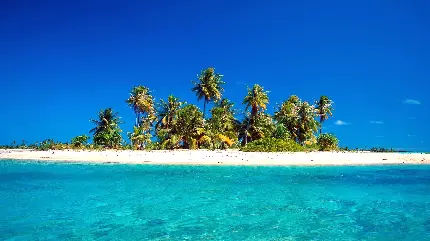 جدیدترین استوک از جزیره ای رویایی با طبیعت خاص