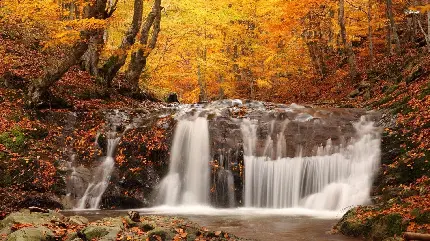 دانلود تصویر فوق العاده زیبای طبیعت پاییزی و آبشار پرآب 