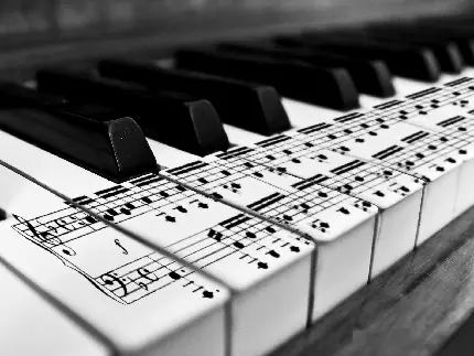 عکس پروفایل کلاویه های پیانو ساز کلاسیک از نمای نزدیک 