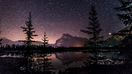 زیبایی های نورانی ستارگان شب عکاسی جف سالیوان