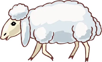 عکس بدون زمینه نقاشی گوسفند کارتونی سفید پشمالو با فرمت PNG