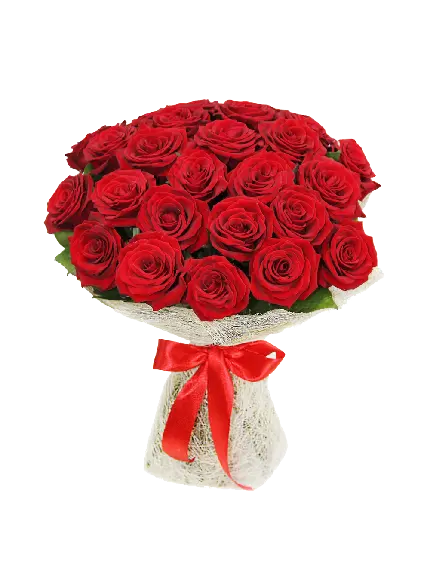 زیباترین عکس PNG دسته گل عروس با ربان قرمز پاپیونی