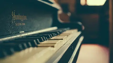 تصویر کلیدهای پیانو با حاشیه مات و کدر برای طرفدارن موسیقی 
