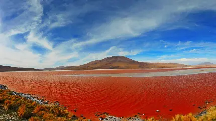 زیباترین طرح رایگان و با کیفیت دریاچه عجیب قرمز رنگ 