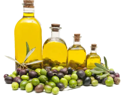 تصاویر دوربری شده روغن زیتون اصل با فرمت PNG بدون زمینه