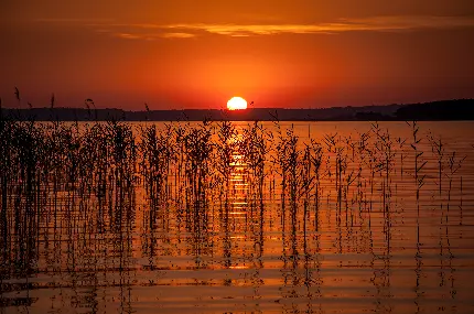 عکس زمینه زیبا از غروب دلنشین خورشید در دریاچه 