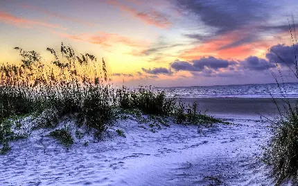 عکس پس‌ زمینه با نمای رویایی از چمن های پوشیده از برف ساحلی