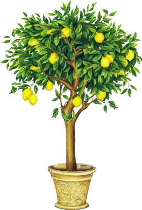 png عکس درخت لیمو کارتونی داخل گلدان خوش نقش و نگار