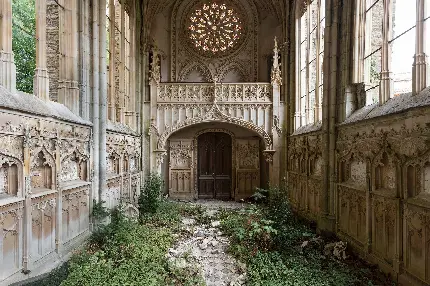 عکس کلیسای جامع گوتیک قدیمی و گیاهان روییده در زمینش 