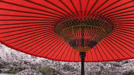 استوک باحال و هنری با کیفیت بالا از چتر ژاپنی 