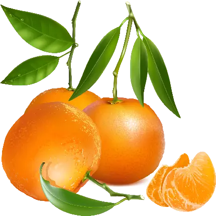 تصویر png نارنگی میوه ای لذت بخش با پوست نسبتا نازک
