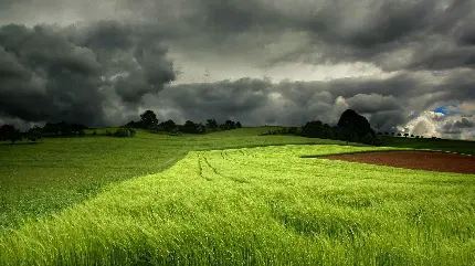 عکس فوق العاده و چشم نواز برای مانیتور 