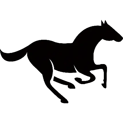 دانلود تصویر اسب مشکی با فرمت پی ان جی PNG و زمینه سفید 