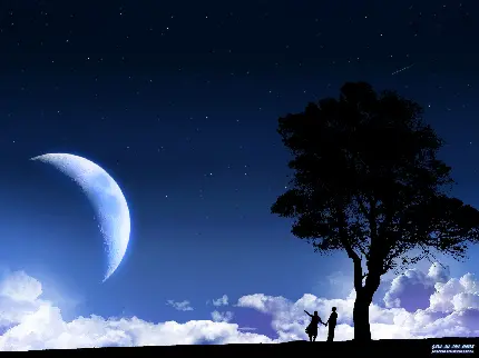 پروفایل تک درخت زیبا زیر آسمان با هلال ماه 