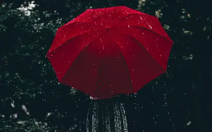 دانلود عکس چتر قرمز در باران با زمینه مشکی 