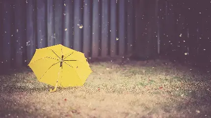 عکس پروفایل و پس زمینه خاص چتر زرد بارانی عاشقانه 