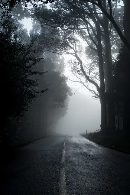 عکس پس زمینه گوشی از جاده ای ترسناک و مه آلود با کیفیت بالا