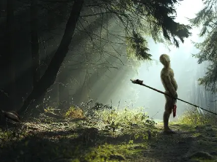 پردانلود ترین عکس مرد تنها در کنار درختان در جنگل 