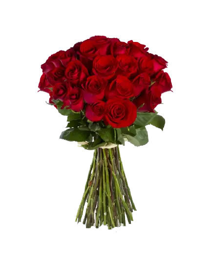 فایل عکس زیبا دسته گل رز قرمز دور بری شده با فرمت PNG