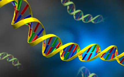 بک گراند جالب و دیدنی پشنهادی با طرح نردبان دی ان ای DNA 