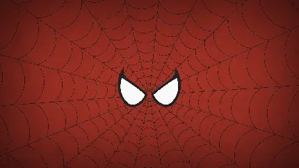 بهترین عکس زمینه و پروفایل سبک مینیمال اسپایدر من Spiderman 