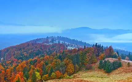 عکس ساده و بدون افکت طبیعت کوهستانی با درختان پاییزی 