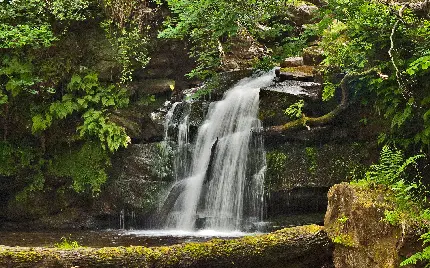 والپیپر جالب از طبیعت آبشار ناب و سحرآمیز به صورت رایگان
