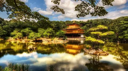 منظره بسیار زیبا خانه چینی و درخت بونسای در وسط دریاچه