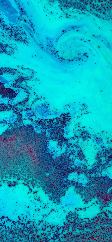 بک گراند آیفون 15 از صخره های مرجانی استرالیا با کیفیت بالا