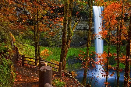 عکس استوک جنگل و آبشار پر آب و خنک پاییزی Full HD 