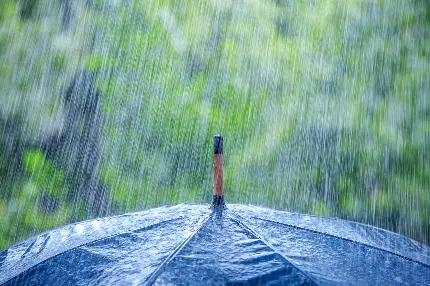 تصویر چتر ساده آبی زیر باران با زمینه درختان سبز 