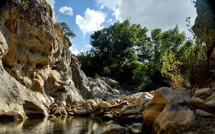 استوک از جاذبه طبیعی چشمه در میان صخره های عجیب و غریب