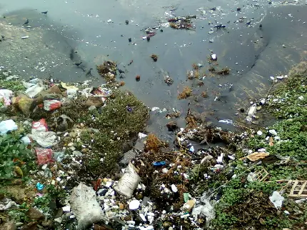 دانلود عکس آلودگی آب رودخانه و تخریب شدن محیط زیست آبی