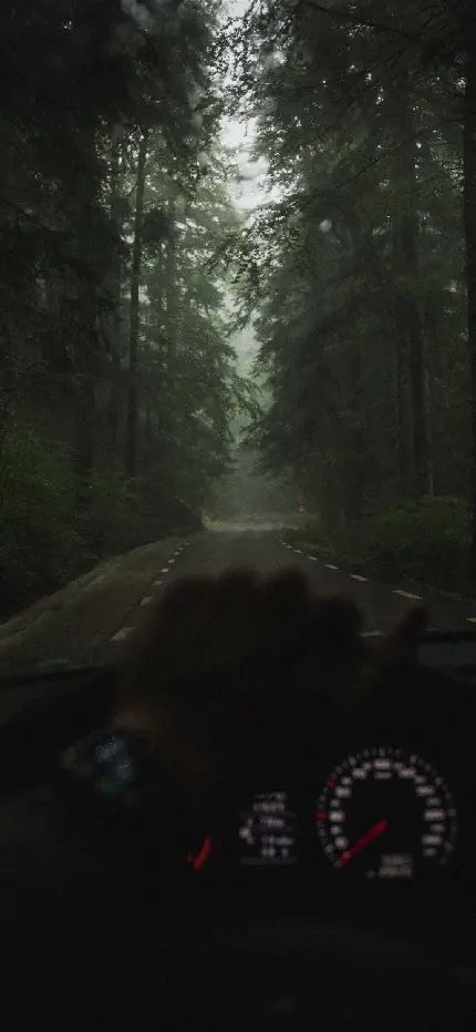 عکس جاده شمال تو ماشین