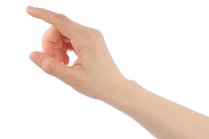 دانلود عکس دست در حال اشاره کردن با فرمت PNG پی ان جی 