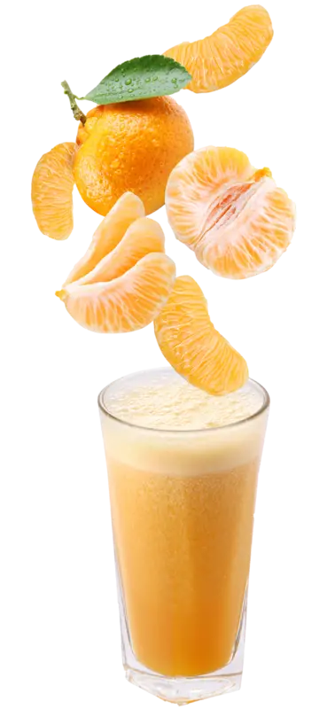 آبمیوه نارنگی به همراه خود میوه با کیفیت عالی