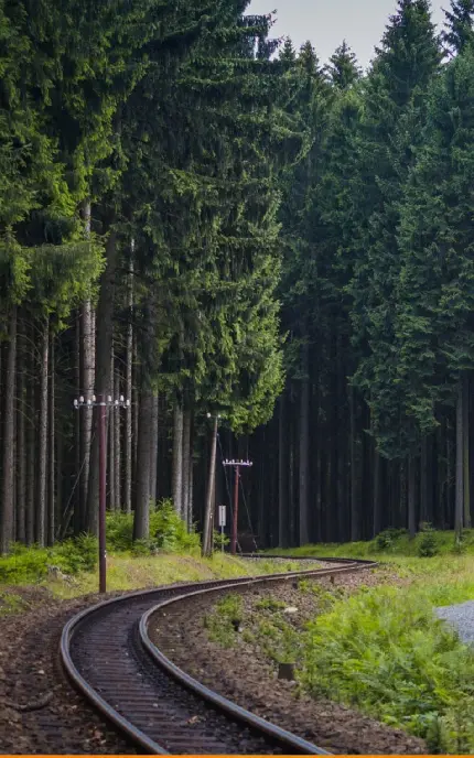 عکس جاده شمال تو ماشین