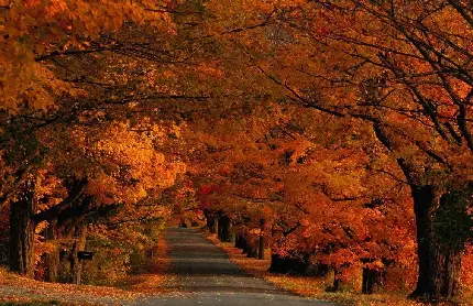 چشم انداز باورنکردنی و فوق العاده زیبای طبیعت پاییزی 