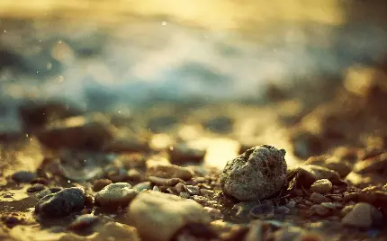 عکس فوکوس جذاب و خاص سنگ های کوچک و بزرگ نزدیک ساحل دریا