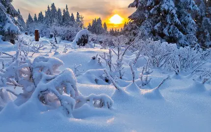 دانلود عکس بسیار زیبای زمستانی با کیفیت عالی در جوهره 