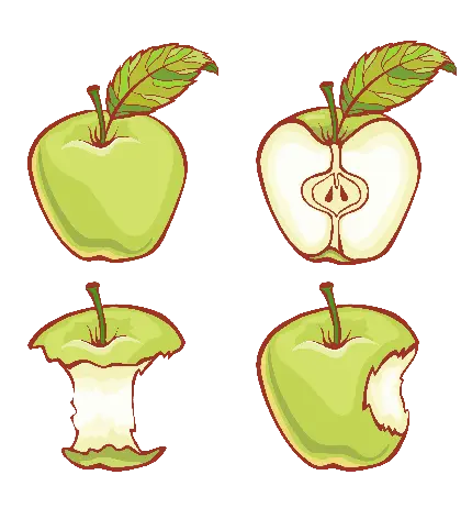 دانلود تصویر انیمیشنی و کارتونی نقاشی سیب سبز در شکل های مختلف سالم و گاز زده 