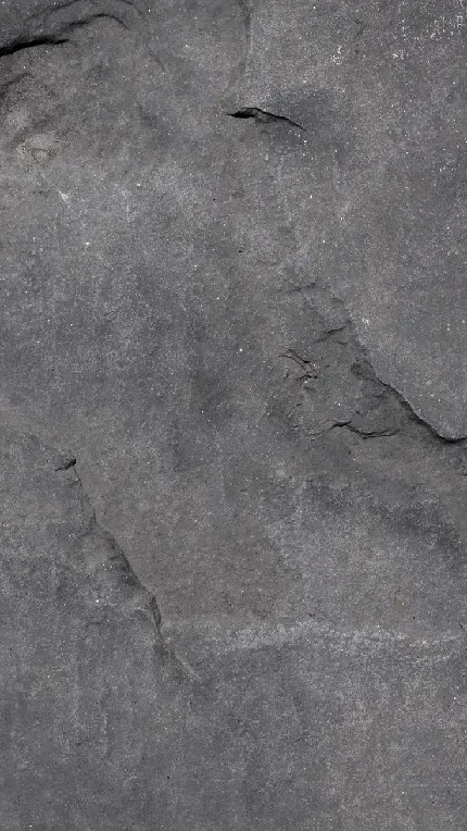 عکس طوسی برای پروفایل