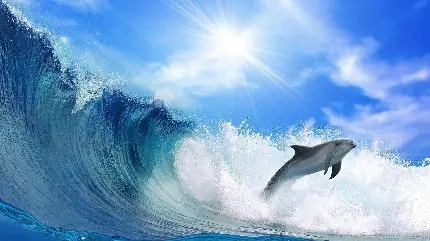 تصویر زمینه از پرش و موج سواری دلفین در آب های ازاد