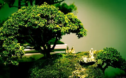 مجسمه های کوچک ژاپنی زیر سایه درخت بونسای