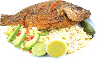 دانلود عکس غذای خوشمزه ماهی سرخ شده به همراه قطعات و تکه های اواکادو