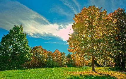 تصویر ساده از طبیعت زیبا و ساکت آرامبخش برای والپیپر 