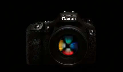 عکس دوربین عکاسی Canon EOS 7D فناوری جدید Dual-Axis Electronic Level مربوط به نمایشگر و منظره یاب با مناسبترین فوکوس و رنگ و روشنایی 