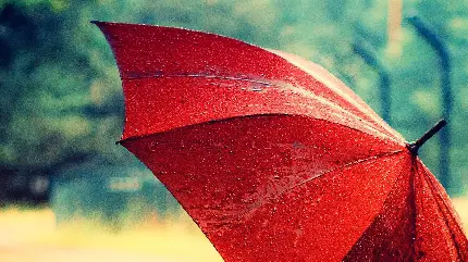 عکس استوک جذاب از چتر قرمز در هوای بارانی 