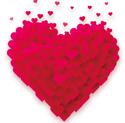 زیباترین عکس گل رز قرمز